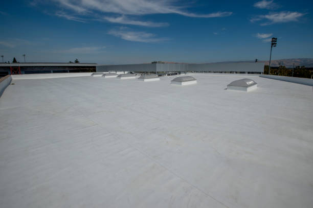 Best Roof Insulation Installation  in Moravian Falls, NC